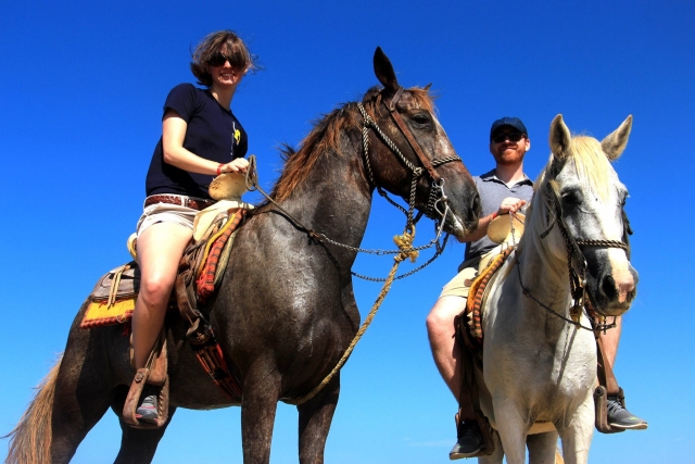 Tour everything on horseback 