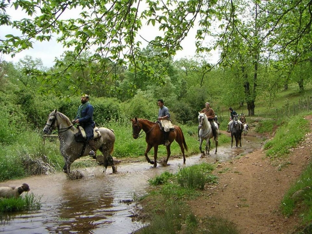  Tour with our horses 