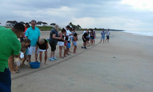  Conosci l'ecosistema 