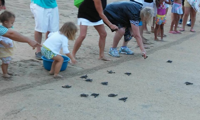  Liberare questa specie 