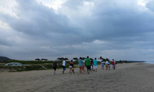  Liberare le tartarughe 