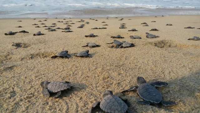  Vedere e conoscere il percorso 