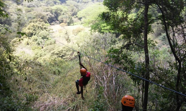  Attraversare la giungla 