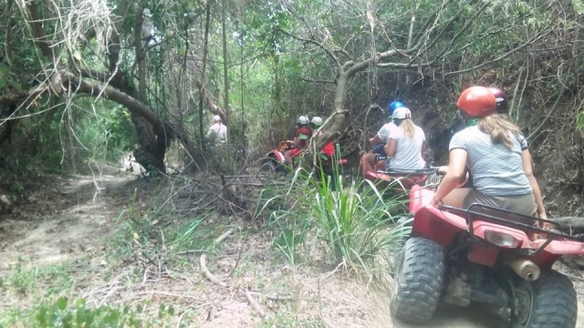  ATV nella giungla 