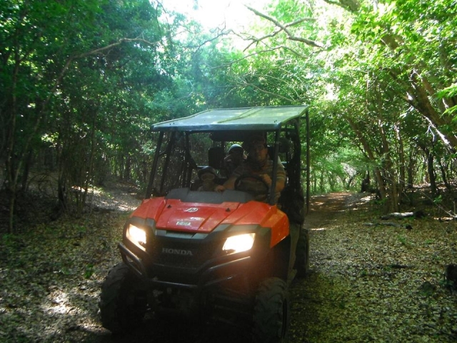 Metete en el bosque
