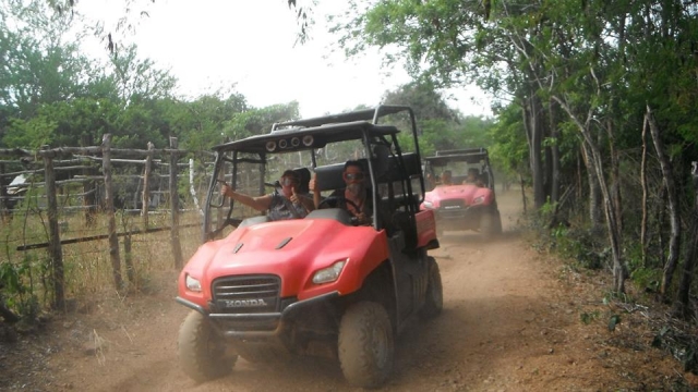 Carrera en el vehiculo
