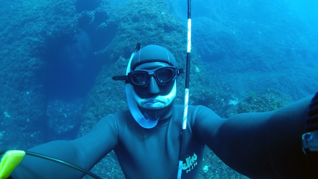  Learn everything about diving 
