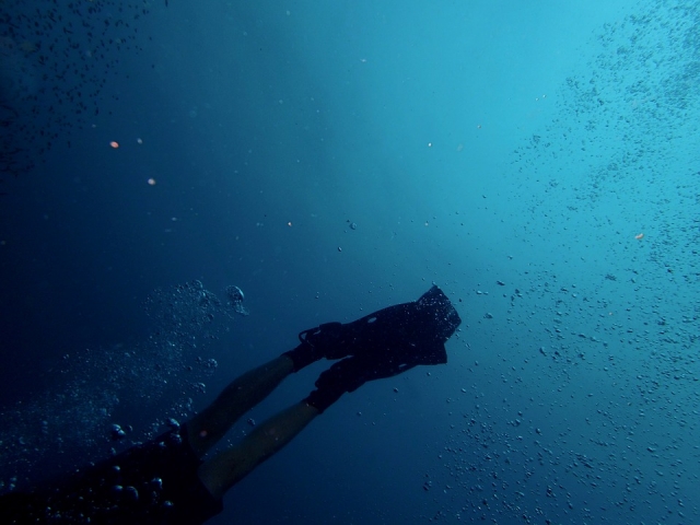  Dive with us 