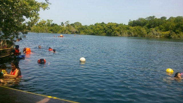  Know and swim 