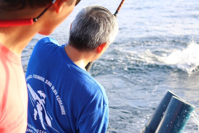  Follow the monitor's steps