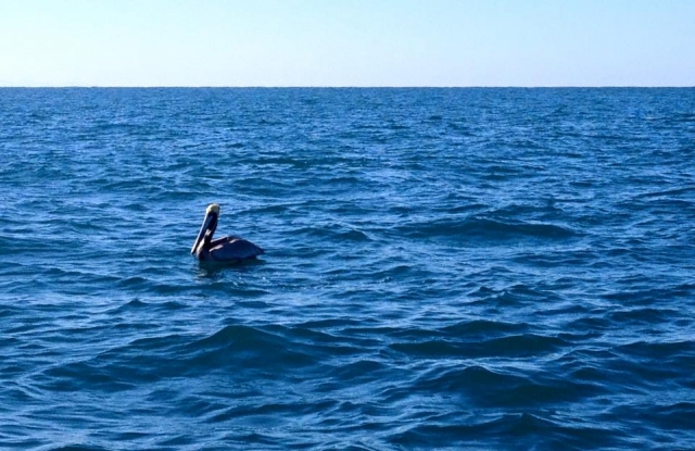  Waiting for the appearance 