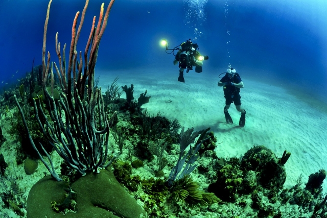  Record your diving 