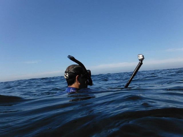  Snorkeling 