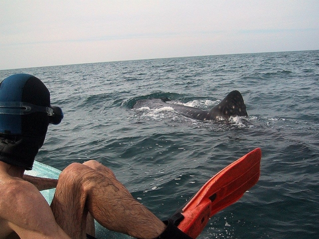  Leaving the snorkel 