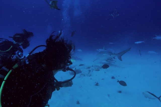 Aborde tudo o que você pode 