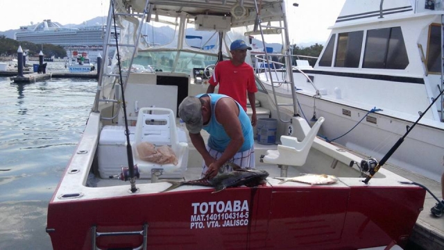 Abrindo o peixe 