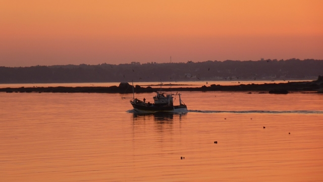  Pesca no pôr do sol 