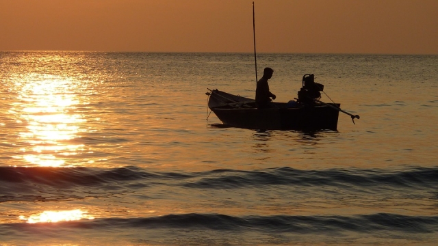  Pesca na tranquilidade do mar