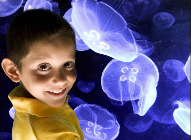  Aquarium 