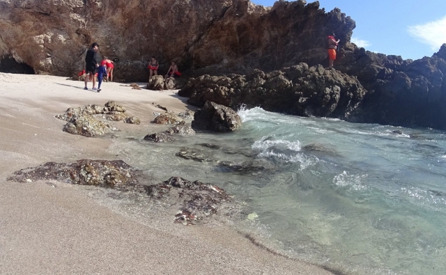  On the shore exploring 