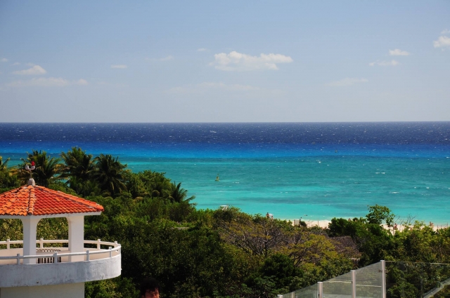  La savana blu 