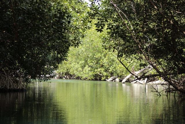  Vues sur le lagon 