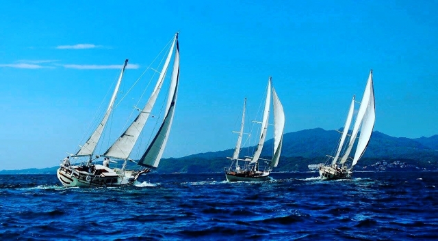  Barche a vela 