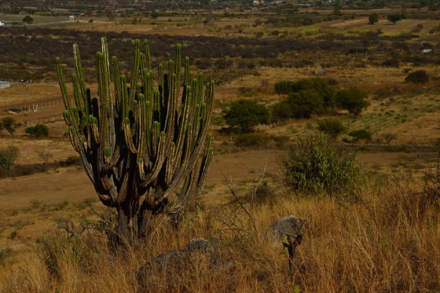  Admirez les paysages d'Oaxaca 