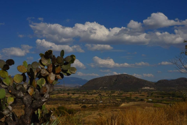  Promenez-vous dans Oaxaca 