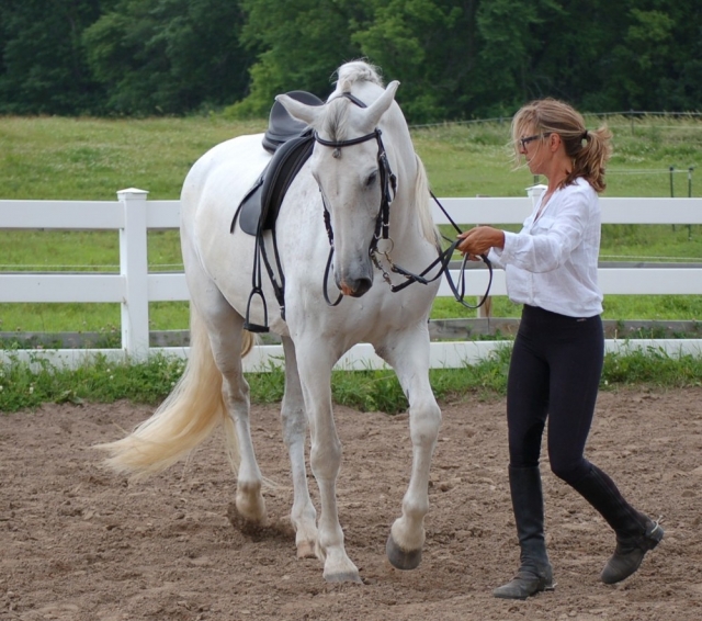 Aprendiendo de los caballos