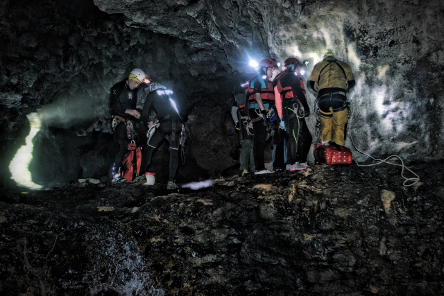  Profis und Team zu Ihren Diensten 