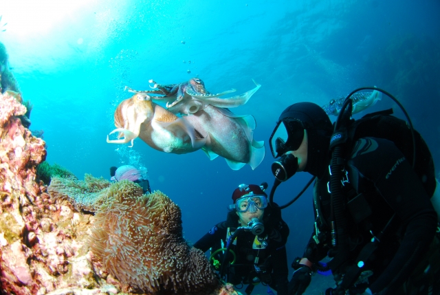  encontro com espécies marinhas 