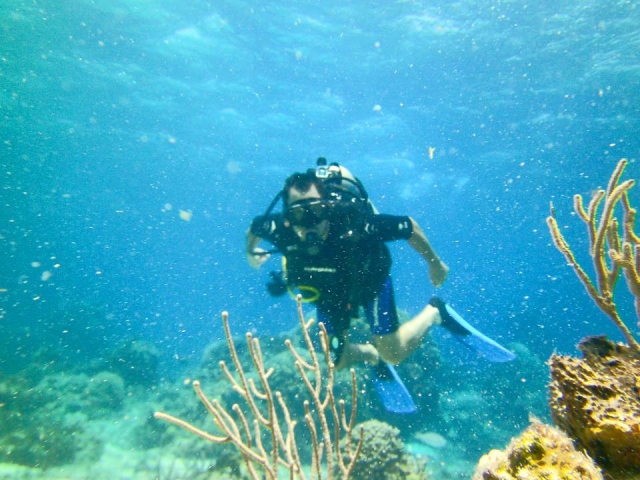 Swim to the bottom of the sea 