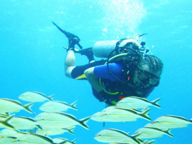  Incredible underwater life 