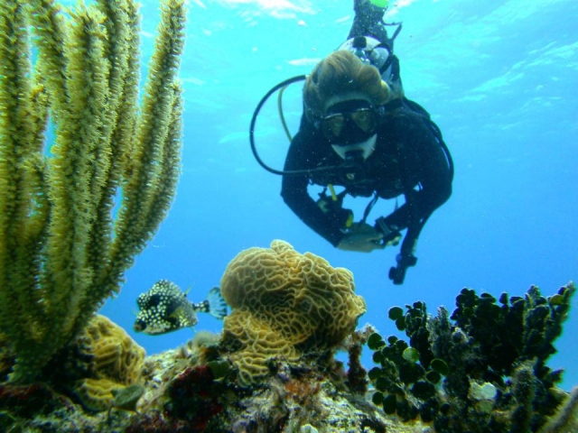  Admire the marine corals 