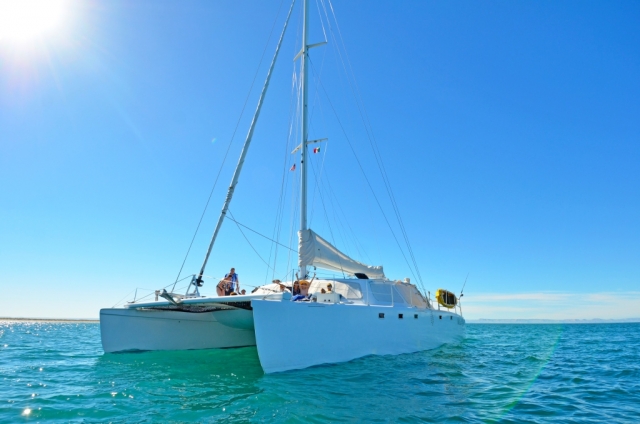  Catamarano 
