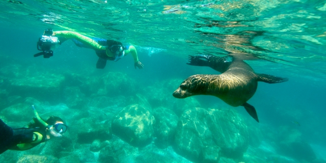 Espiritu Santo Island Expedition 