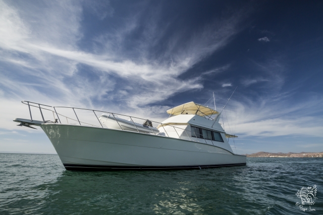  unglaubliche Boote