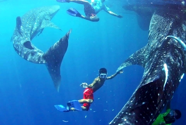  Extreme Unterwasserabenteuer 