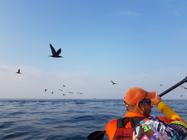 Tour en Kayak Peña Blanca
