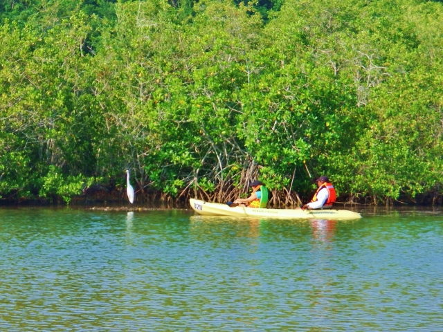 Tour por el Estero