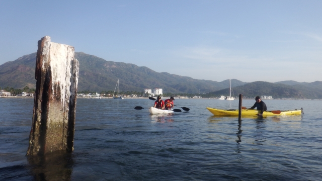 Kayak Tour Marino