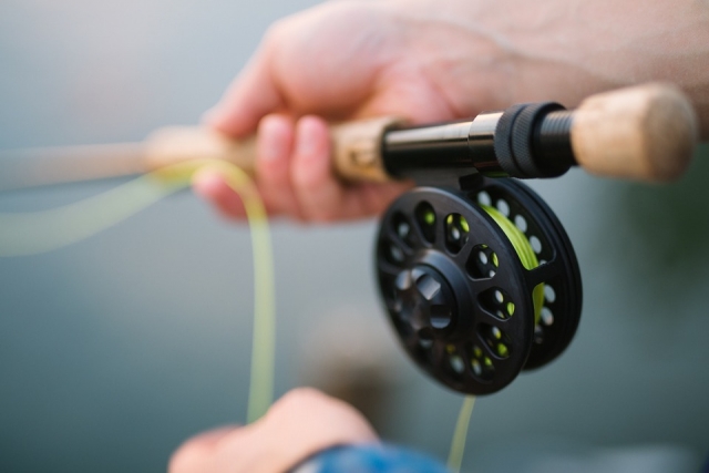  pesca canana 
