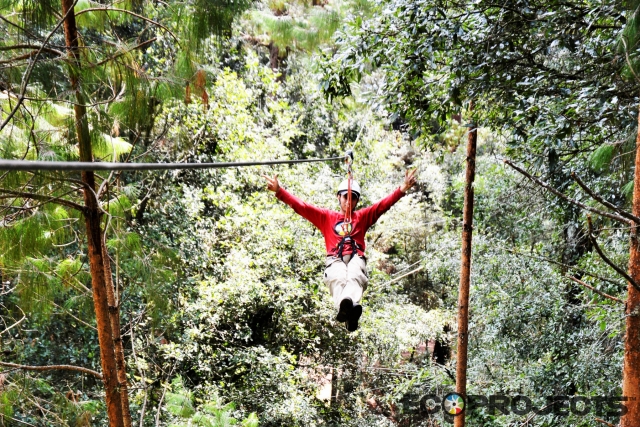  Canopy 