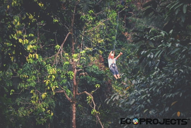  Canopy Tour 