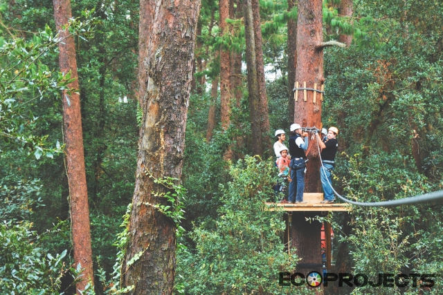  aventura nas árvores 