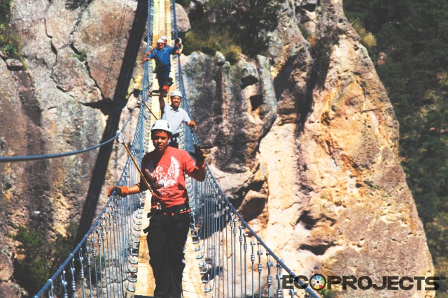  Ponte -collant 