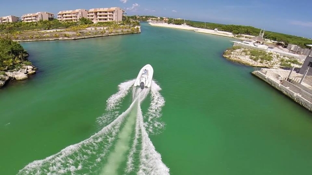 Disfruta del caribe