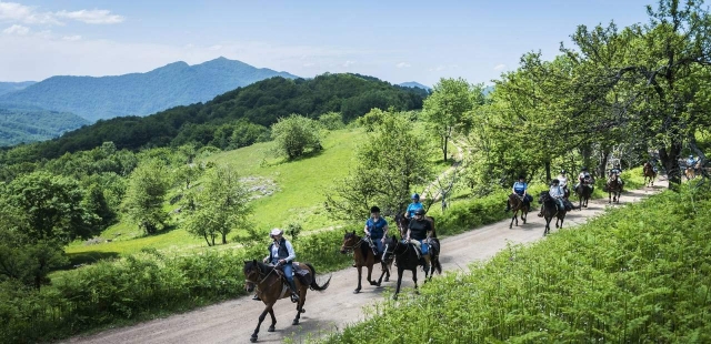  Routen in Begleitung 