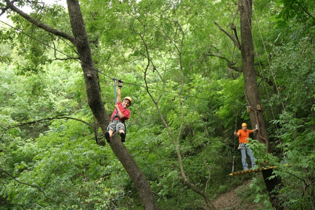  Canopy em Monterrey 